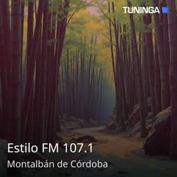 Estilo FM 107.1