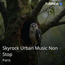 Skyrock Urban Music Non Stop