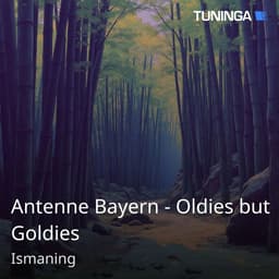 Antenne Bayern - Oldies but Goldies