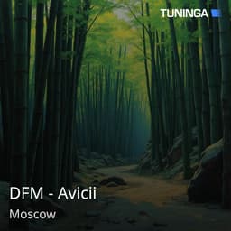 DFM - Avicii
