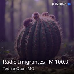 Rádio Imigrantes FM 100.9