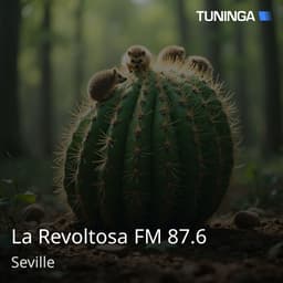 La Revoltosa FM 87.6