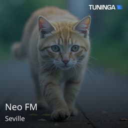 Neo FM