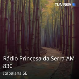 Rádio Princesa da Serra AM 830