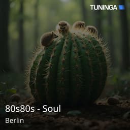 80s80s - Soul