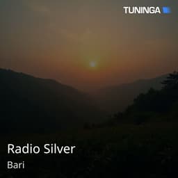 Radio Silver