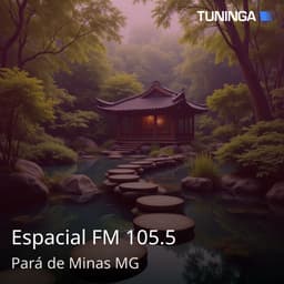 Espacial FM 105.5