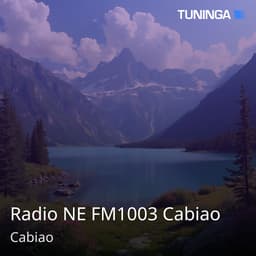 Radio NE FM1003 Cabiao