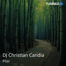 DJ Christian Candia