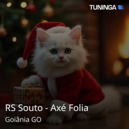 RS Souto - Axé Folia
