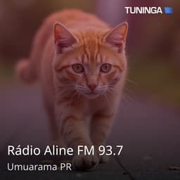 Rádio Aline FM 93.7