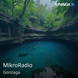 MikroRadio