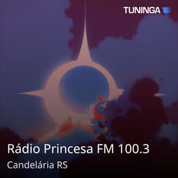 Rádio Princesa FM 100.3