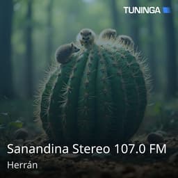 Sanandina Stereo 107.0 FM