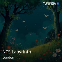 NTS Labyrinth