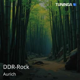 DDR-Rock