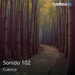Sonido 102