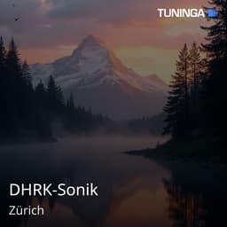 DHRK-Sonik