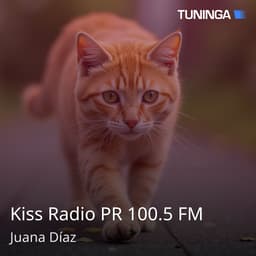 Kiss Radio PR 100.5 FM