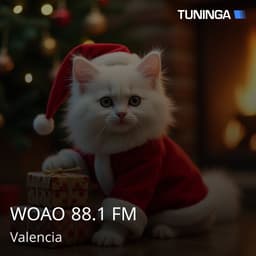 WOAO 88.1 FM