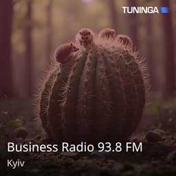 Business Radio 93.8 FM
