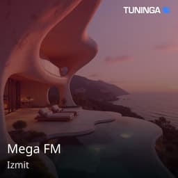 Mega FM
