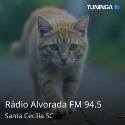 Rádio Alvorada FM 94.5