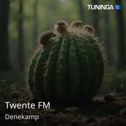 Twente FM