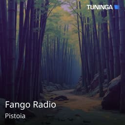Fango Radio