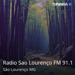 Radio Sao Lourenço FM 91.1
