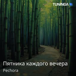 Пятника каждого вечера