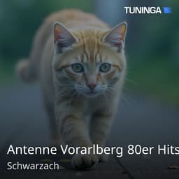 Antenne Vorarlberg 80er Hits