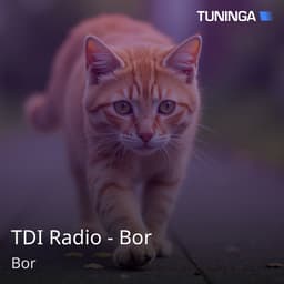 TDI Radio - Bor