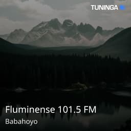 Fluminense 101.5 FM