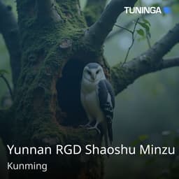 Yunnan RGD Shaoshu Minzu