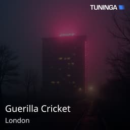 Guerilla Cricket