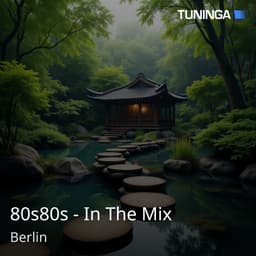 80s80s - In The Mix