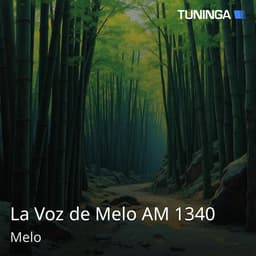 La Voz de Melo AM 1340