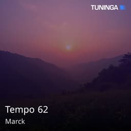 Tempo 62