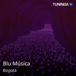Blu Música