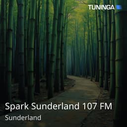 Spark Sunderland 107 FM