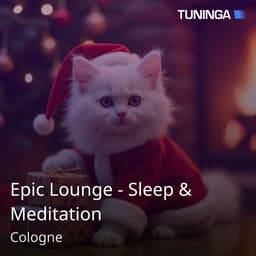 Epic Lounge - Sleep & Meditation