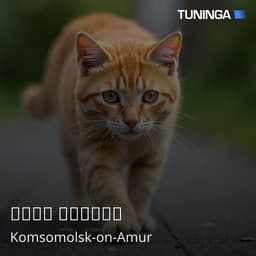 Рады Музыке