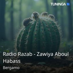 Radio Razab - Zawiya Aboul Habass