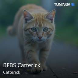 BFBS Catterick