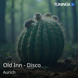 Old Inn - Disco