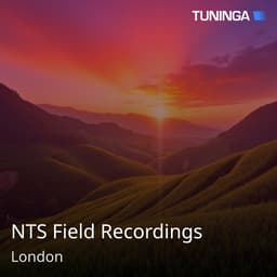 NTS Field Recordings