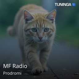 MF Radio