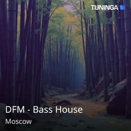 DFM - Bass House