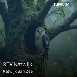 RTV Katwijk